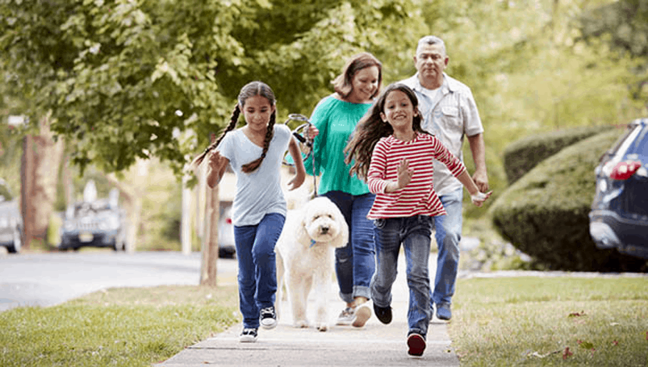 family walking with a white big dog outdoors